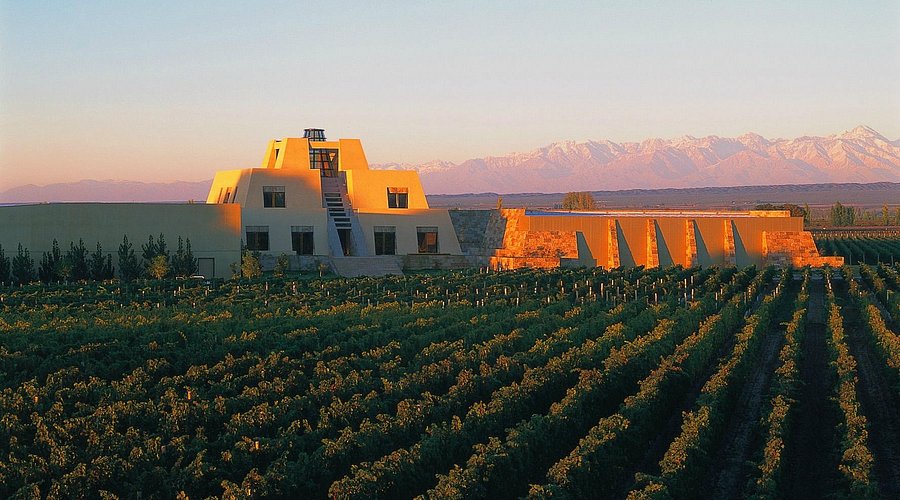 Experiencia en bodegas