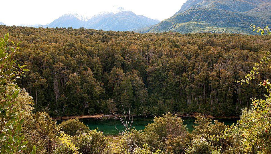 Bosque de Arrayanes + Villa La Angostura 1