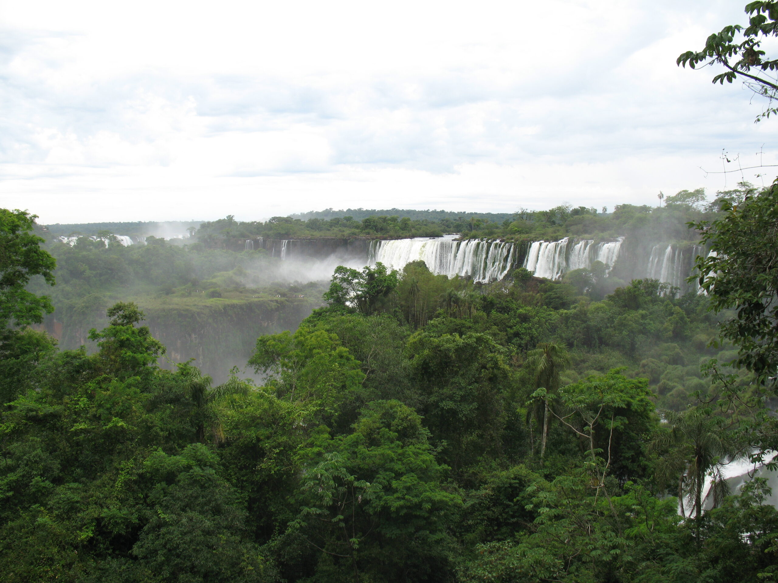 Saltos del Moconá y selva 3