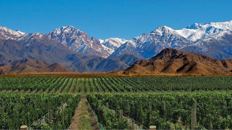 Chacras de Coria Mendoza
