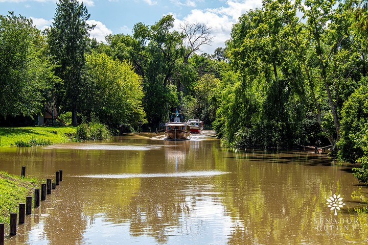 Victoria y Delta entrerriano 3