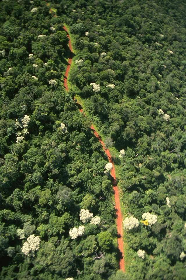 Salto Encantado y senderos en selva 2