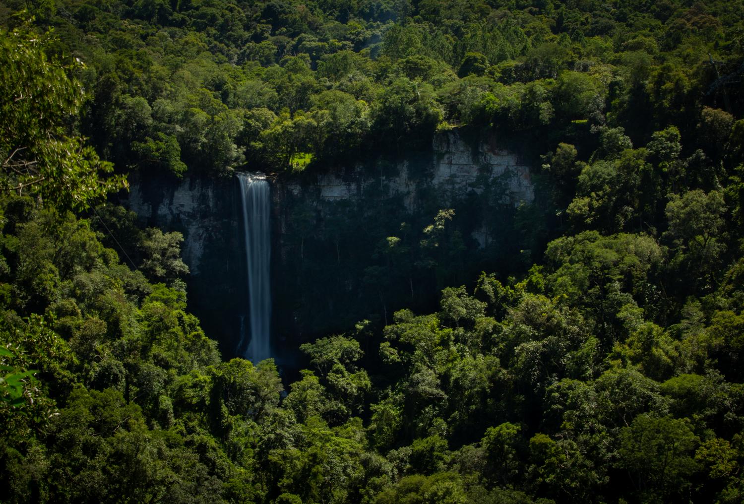 Salto Encantado y senderos en selva 3