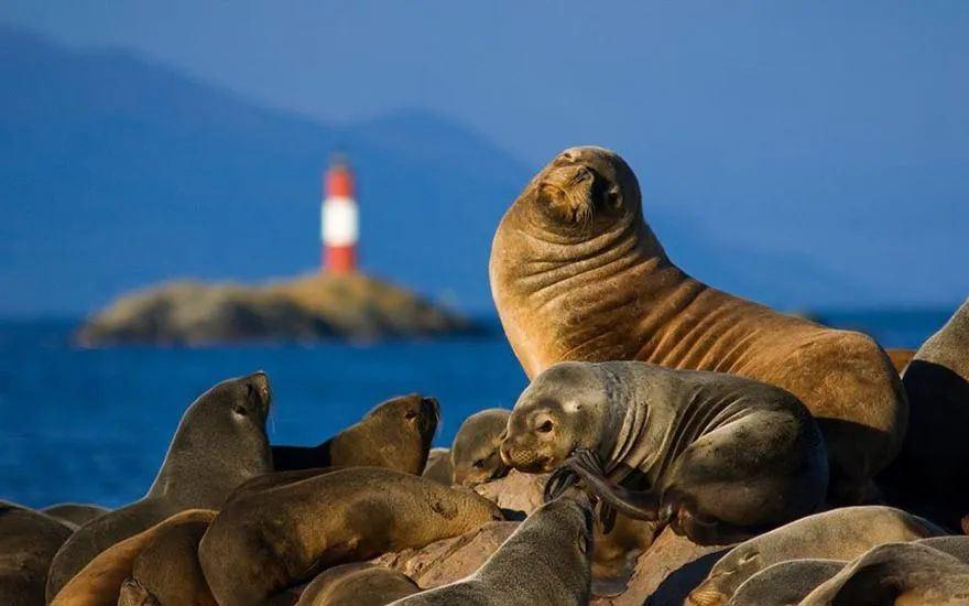 Canal Beagle + Faro 3